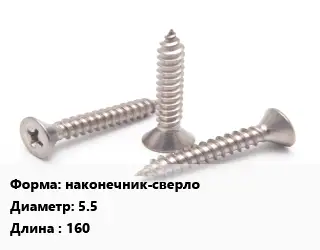 Саморез наконечник-сверло D=5.5 L=160